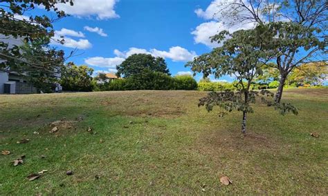 Lote Terreno Na Avenida Floresta Residencial Aldeia Do Vale Em Goi Nia