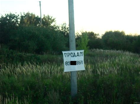 Купи. | Пикабу