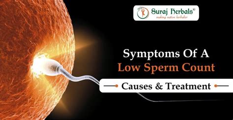 Symptoms Of A Low Sperm Count Causes And Treatment Suraj Herbals