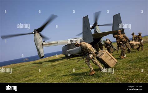 U S Marines With 3d Littoral Combat Team 3d Marine Littoral Regiment