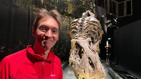 Skelet Van T Rex Wordt Als Puzzel In Elkaar Gezet In Natuurmuseum In