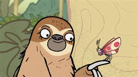 The Moth And The Sloth Song Cbeebies Bbc