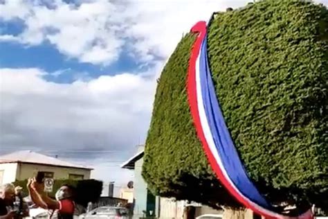 Adherentes De Boric Se Suben Al Rbol En Punta Arenas Le Colocaron