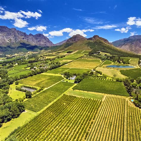 Explore The Majestic Cape Winelands Pineapple House