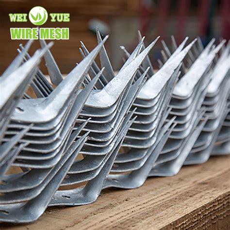 Wall Spikes 1 25m Length Large Wall Spikes Hot DIP Galvanized Steel Big