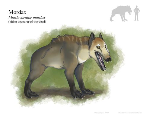 Transexjapan Serina Tachibana Javboss Uncensored My XXX Hot Girl