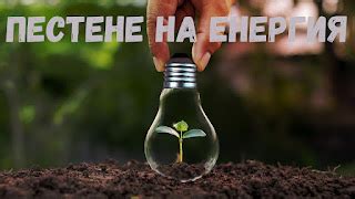 Пестене на енергия: Как да намалим потреблението на електроенергия ...