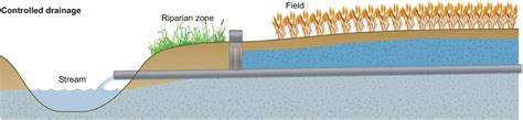 Landscapedna