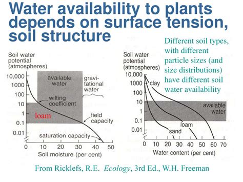 Ppt Physiological Ecology The Physical Environment Powerpoint