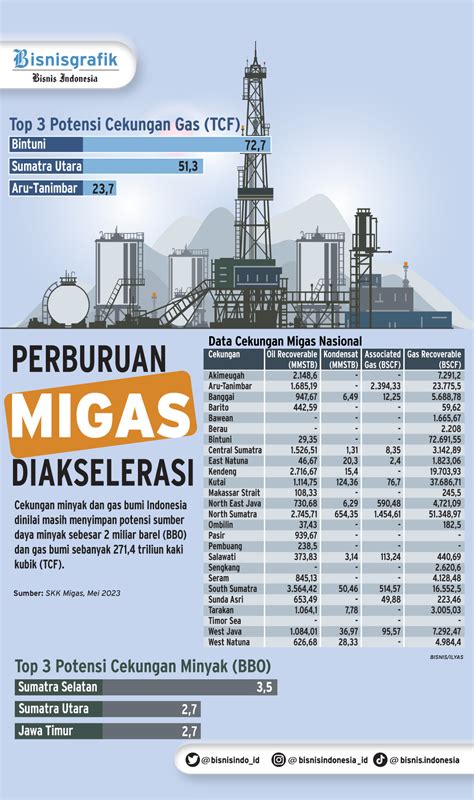 Skk Migas Optimalkan Serapan Gas Bumi Target Produksi Bcfd