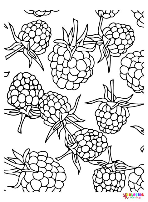 Free Blackberry Coloring Page Free Printable Coloring Pages