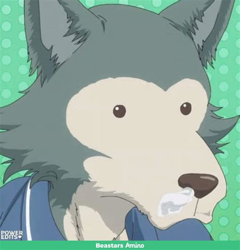 Someone Send Me Cursed Beastar Images Beastars Amino