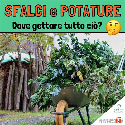 Sfalci E Potature Dove Gettarli Differenzaincomune