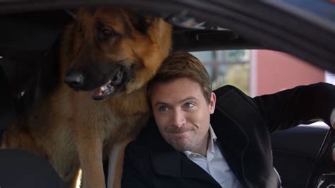 Hudson & Rex - The New Normal - UPtv