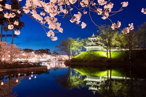 日本三大夜桜の高田城へ｜新潟県｜たびよみ