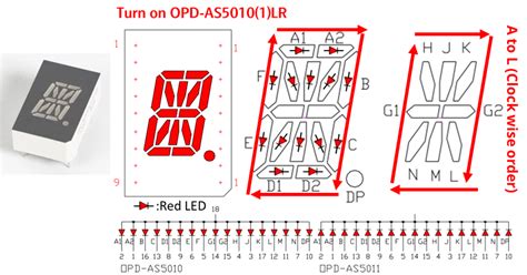 7 Segment 16 Segment Displays And Internal Structures OPTO PLUS LED