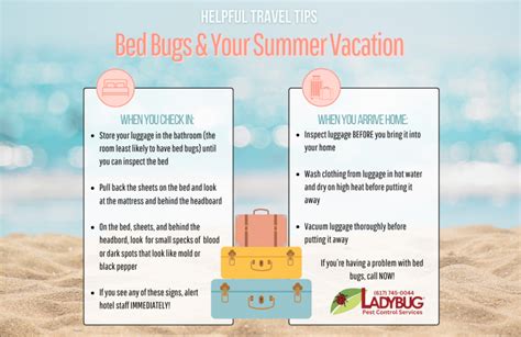 Tips For Summer Travel Ladybug Pest Control Services