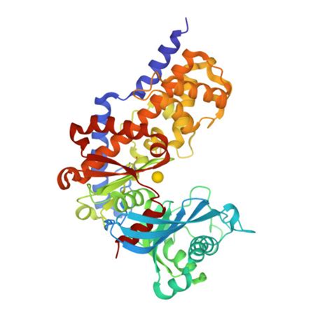 RCSB PDB 6KSR Crystal Structure Of Hexokinase From Eimeria Tenella