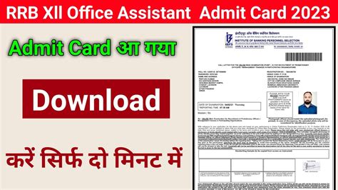 Ibps Rrb Office Assistant Admit Card 2023 Admit Card Downloading