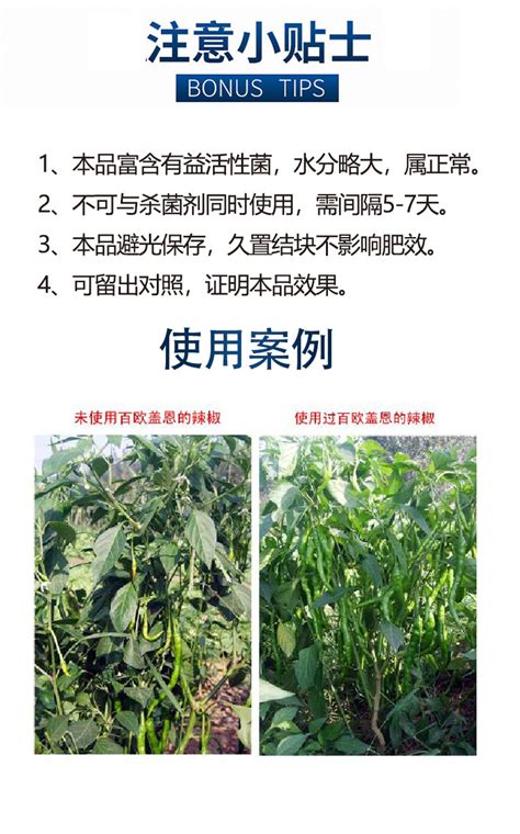 生物有机肥粉剂 保罗蒂姆汉（潍坊）生物科技有限公司生物有机肥菌肥厂家