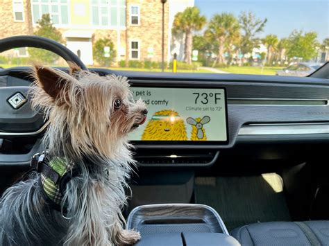 Rivian Adds Tesla Like Pet Comfort Mode To Keep Dogs Safe This Summer