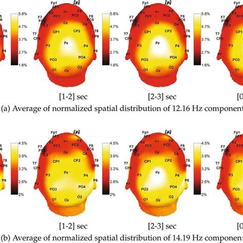 Topographical Maps Representing The Average Distribution Of Eeg Power Download Scientific