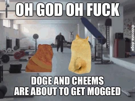 Doge And Cheems Are About To Get Mogged Mogging Know Your Meme