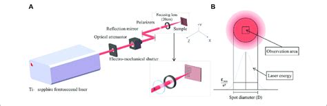 A Schematic Diagram Of Titanium Sapphire Femtosecond Laser