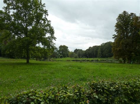 Gratis Afbeeldingen Landschap Boom Water Natuur Bos Gras