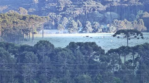 Serra de SC amanhece temperaturas abaixo de 3ºC e geada Santa