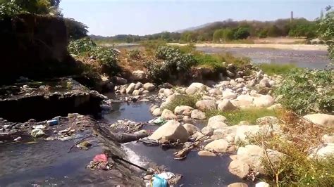 Reforestar N R O Atoyac En Guerrero Un Mundo Sustentable