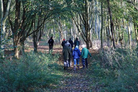 Walking In The Woods Londonthorpe Wood Stephen Middleton Flickr