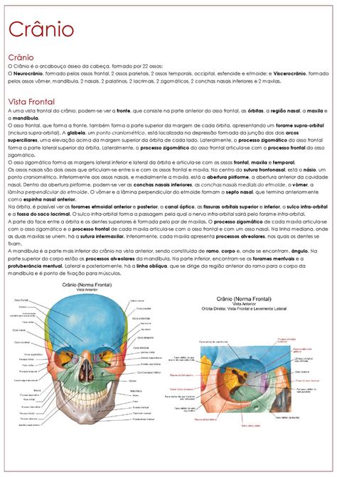 Resumo anatomia crânio copia by Marcos Issuu