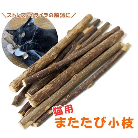 送料無料 またたびの木 猫用 またたび リラックス イライラ ストレス発散 おもちゃ ペット用品 猫用品 マタタビトイ またたびトイ