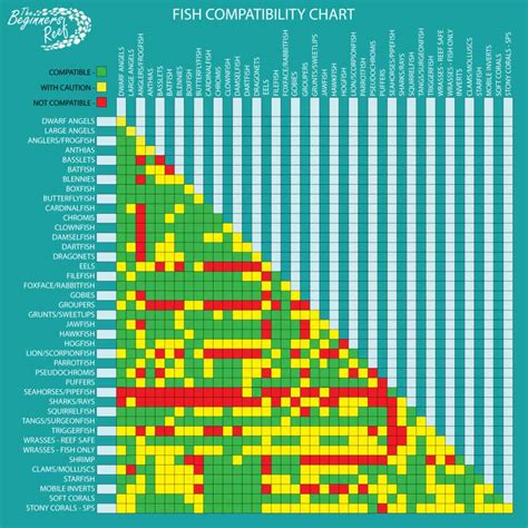 Saltwater Fish Compatibility Chart With Pictures