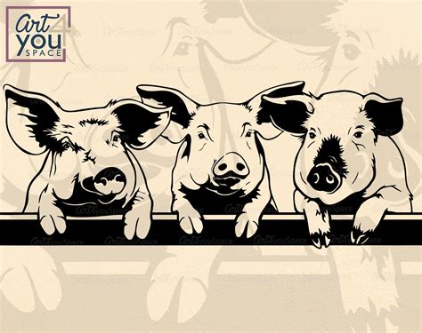 Funny Pigs Svg Peeking Farm Animals Cricut Clipart Swine Piggy Swork