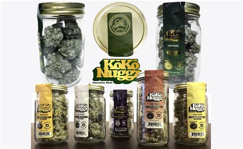 Koko Nuggz Chocolate Budz Non Medicated Chocolate Review Updated