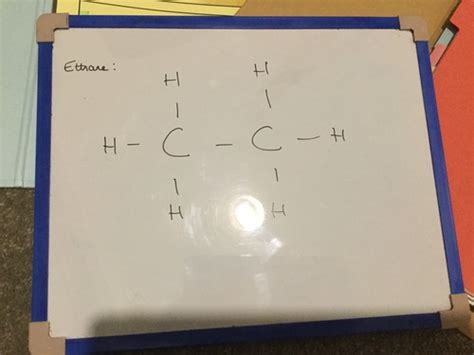 Module Hydrocarbons And Alkanes Flashcards Quizlet