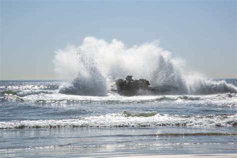 training command units assault amphibian school