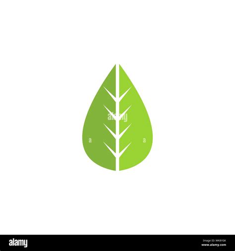 Leaf Graphic Design Template Vector Isolated Illustration Stock Vector