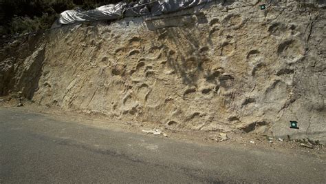 Empreintes de dinosaures à Coisia à THOIRETTE COISIA dans le Jura