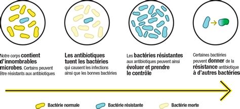 résistance bactérienne aux antibiotiques