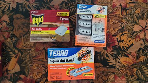 Comparing Raid And Terro Ant Traps Which Is The Best Option • Edel Alon