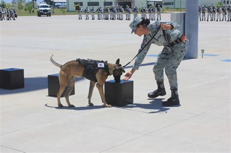 Se gradúan binomios caninos de la Guardia Nacional Turquesa News