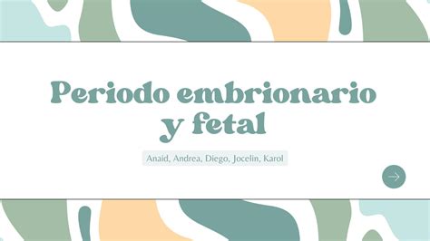 Solution Periodo Embrionario Y Fetal Studypool