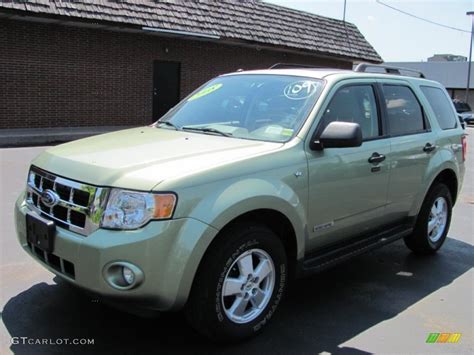 2008 Kiwi Green Metallic Ford Escape Xlt V6 4wd 50231265 Photo 11 Car Color