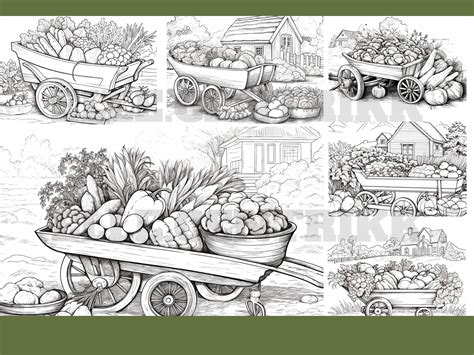 Quaint Wooden Wheelbarrow Coloring Pages Digital Download Adult Coloring Food and Nature ...