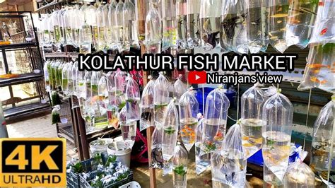 kolathur fish market - YouTube