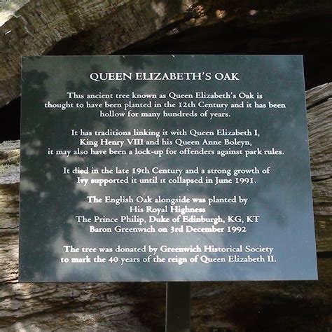 Queen Elizabeths Oak London Remembers Aiming To Capture All