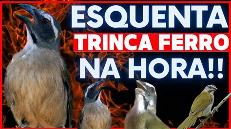 ESQUENTA NA HORA Esquentar Trinca Ferro Esquente Seu Trinca